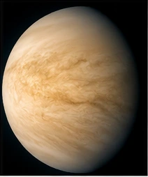 Scientific-style portrait of Venus